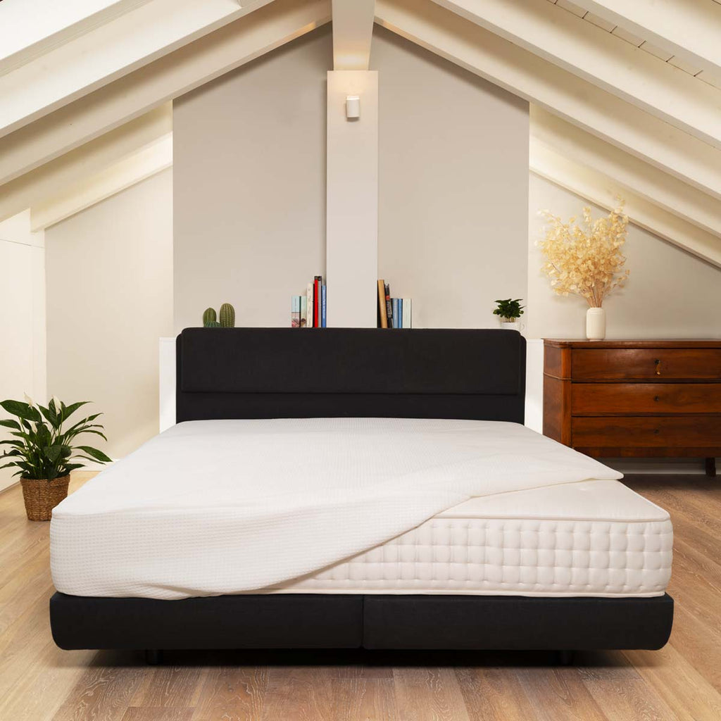 Intelletto® Protetto