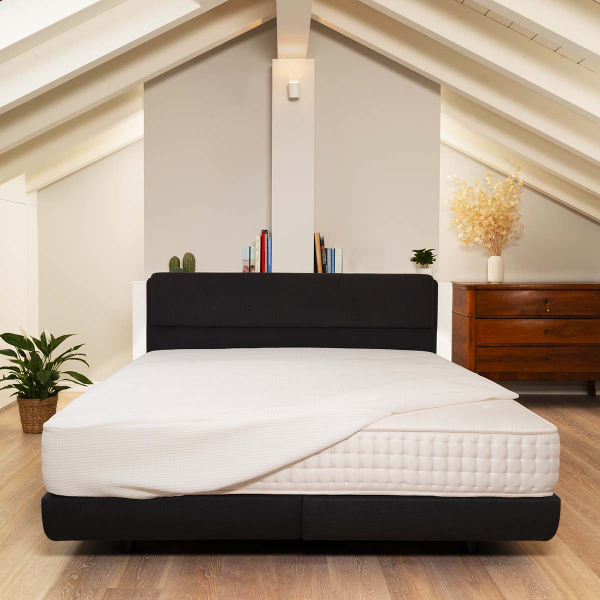 Intelletto® Protetto