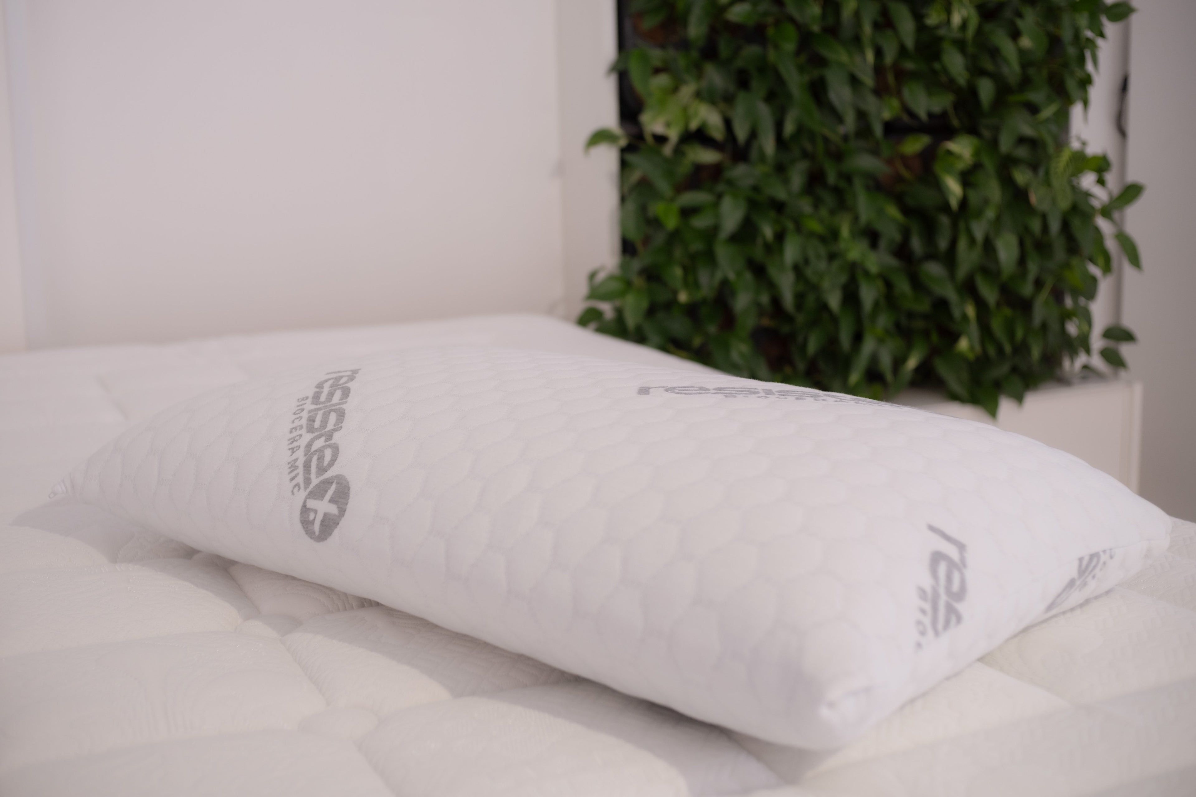 Intelletto® Gel