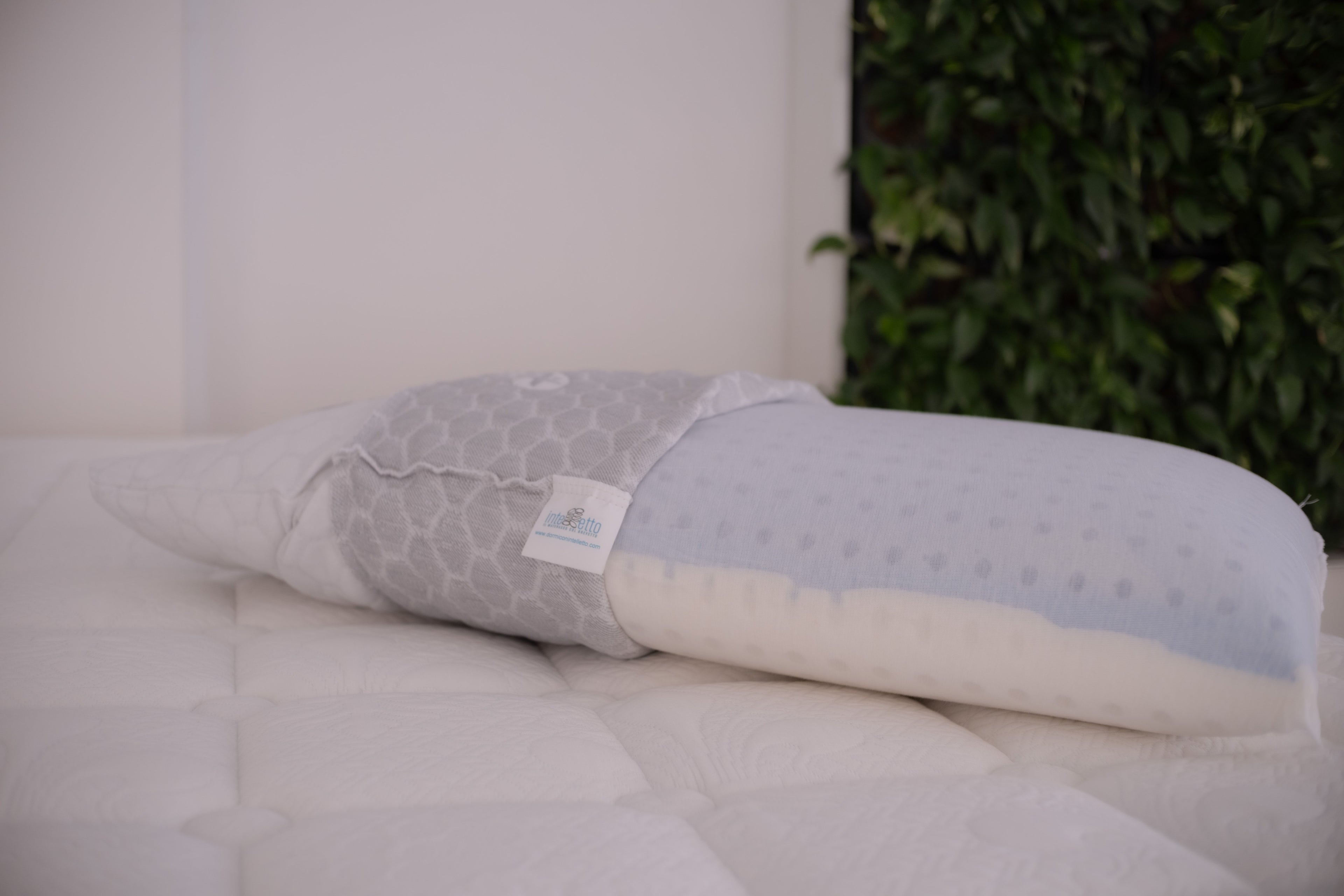 Intelletto® Gel