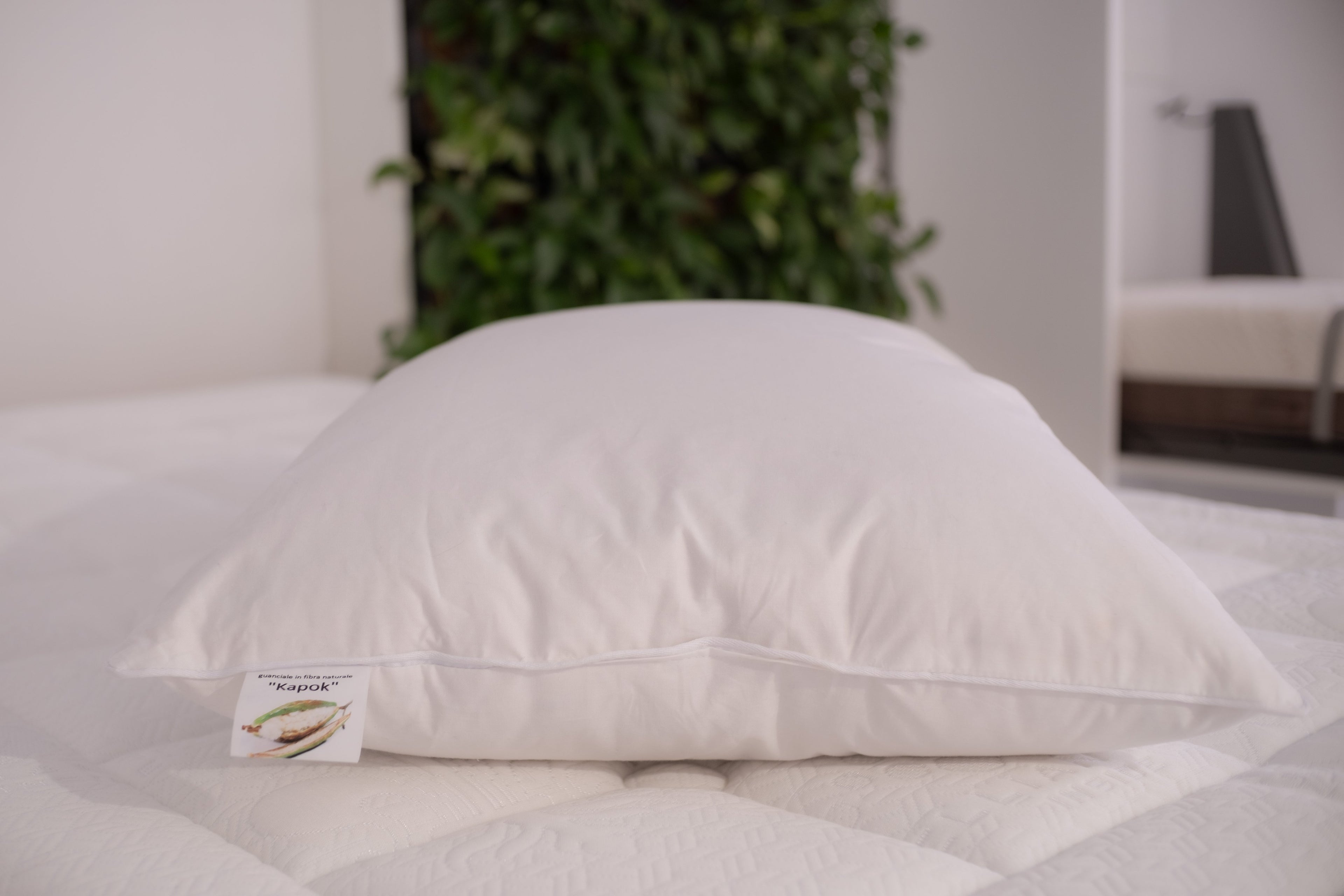 Intelletto® Kapok