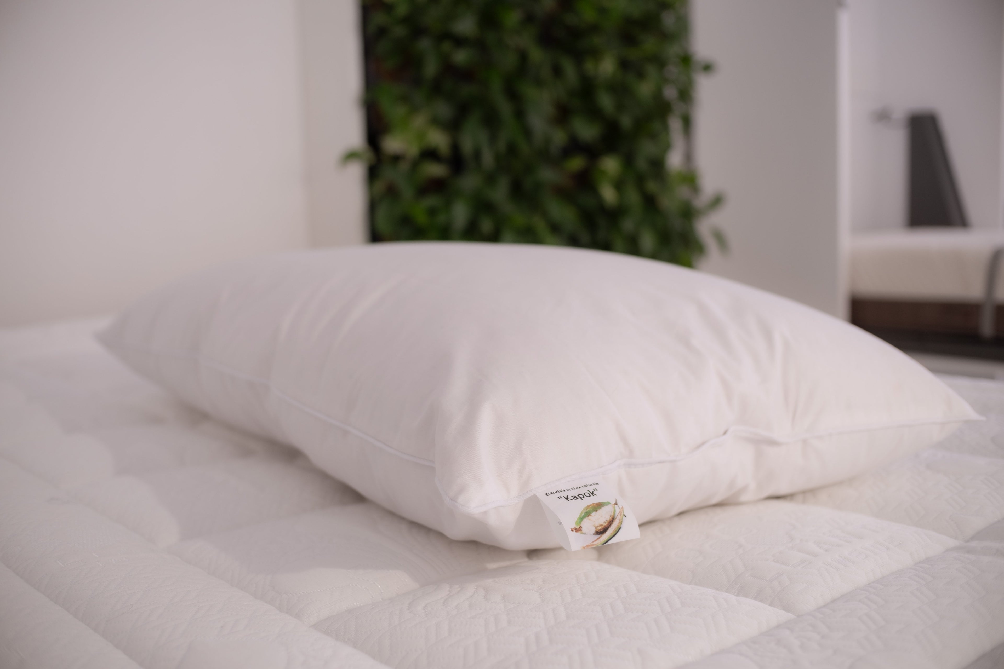 Intelletto® Kapok