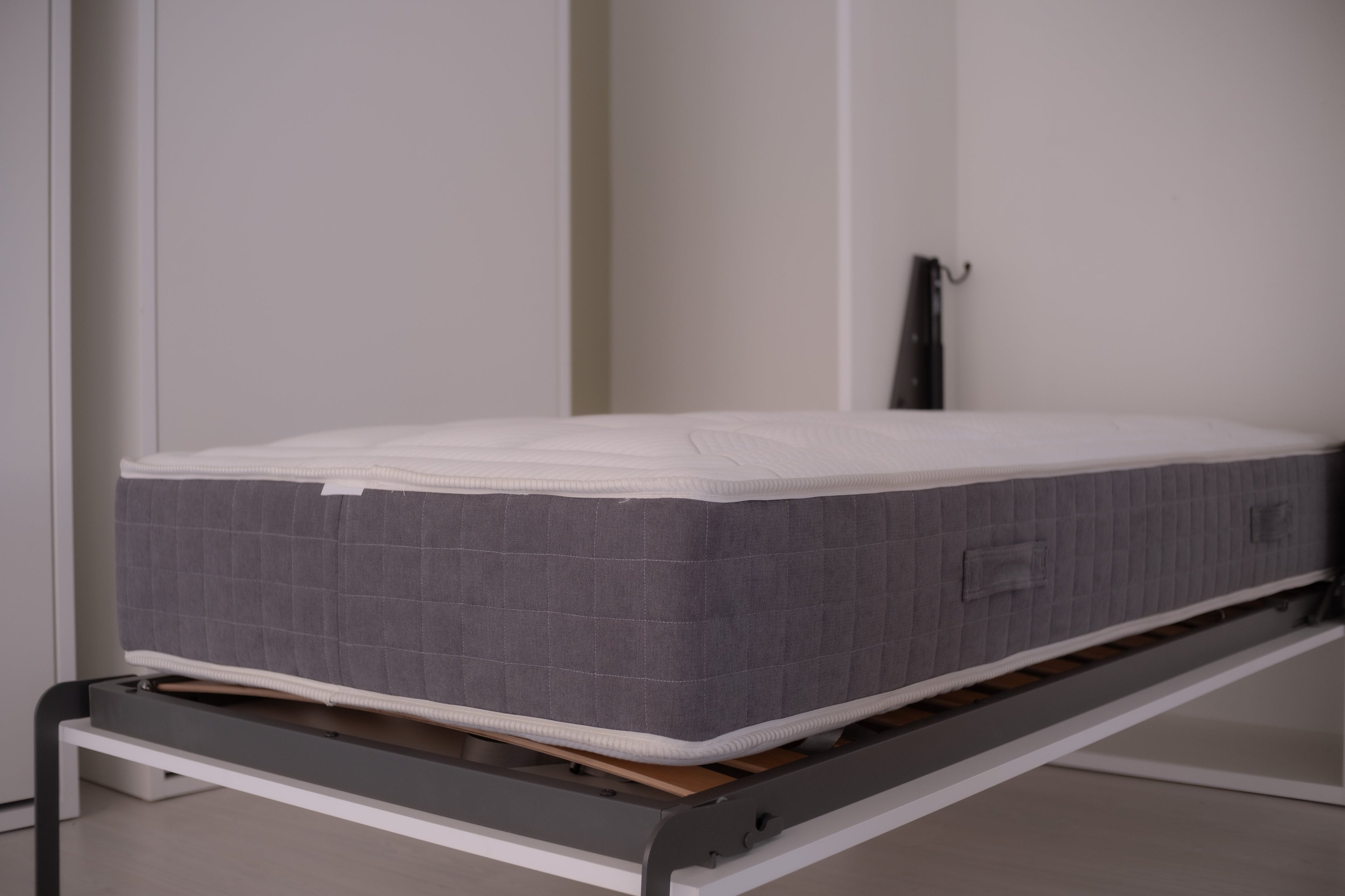Intelletto® Fortis