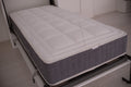 Intelletto® Fortis