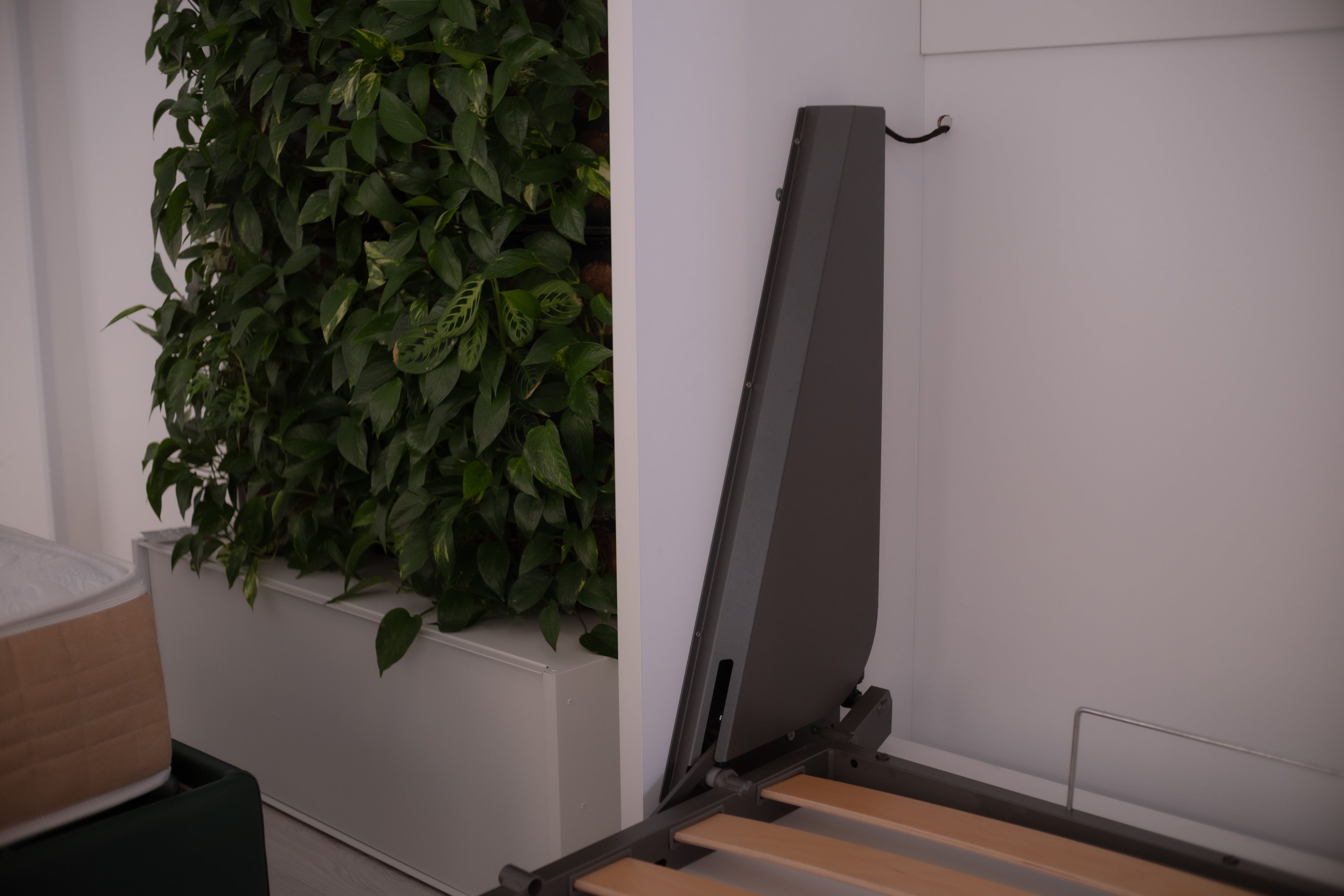 Intelletto® Bed Chill