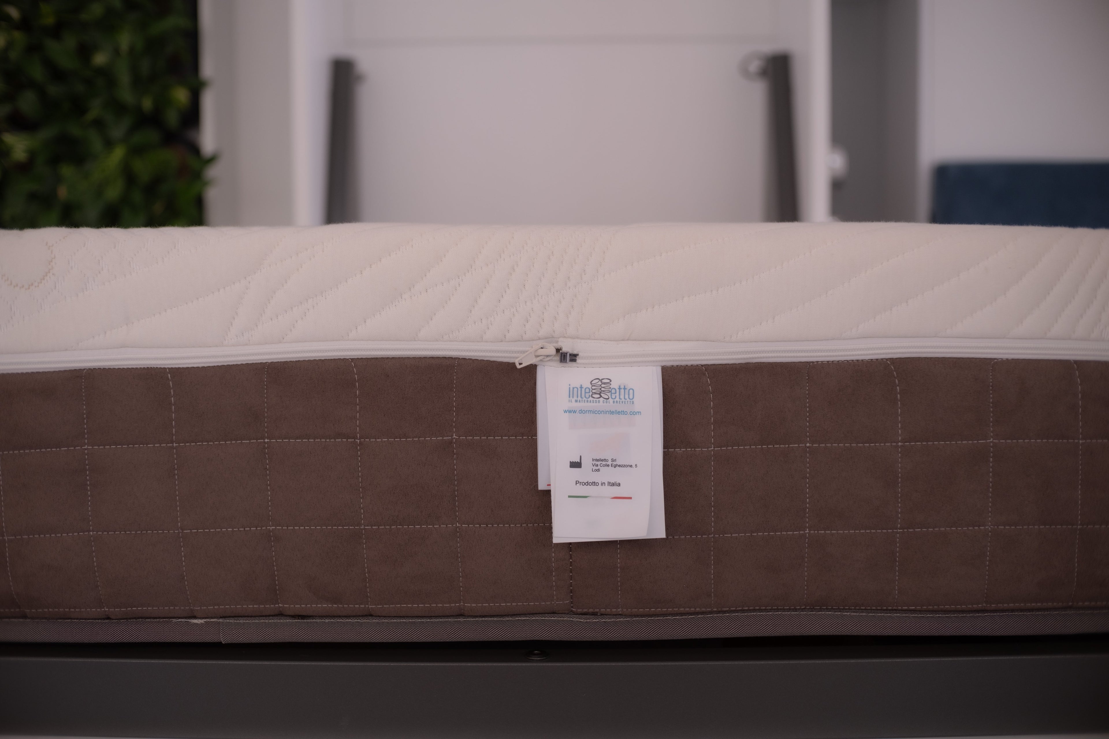 Intelletto® Acqua