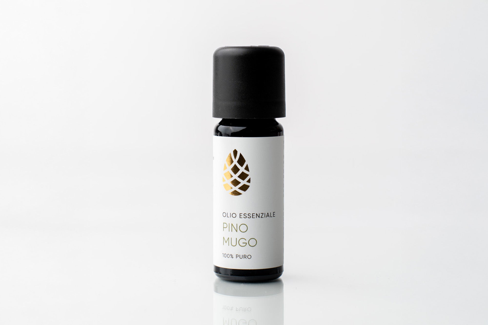 Pino Mugo